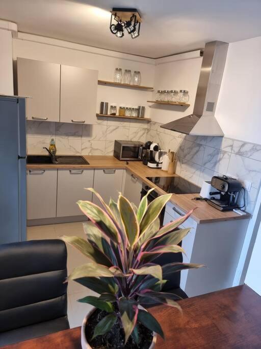 Appartement Vue Mer Avec Parking Gratuit Sur Place Бастия Екстериор снимка